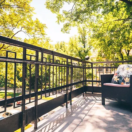 Art Novis Centrum Breslau